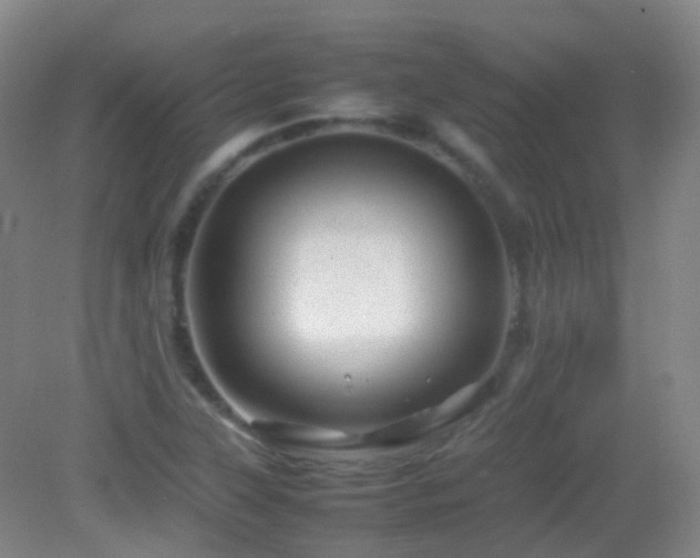 X0000082941315200702011255