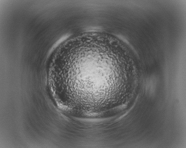 X0000082941317200702011255