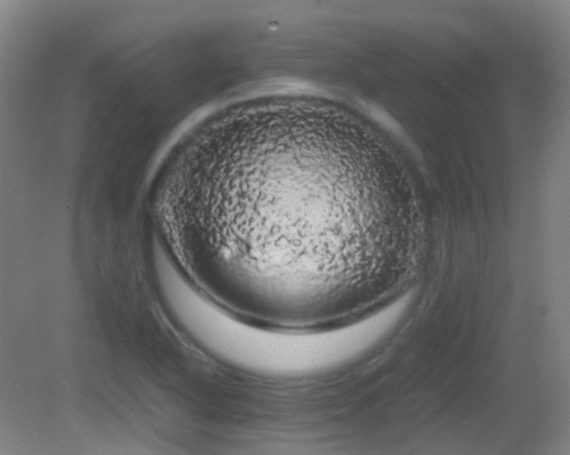 X0000082941318200702011255