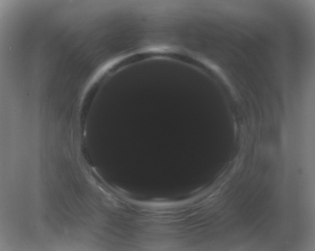 X0000082941319200702011255