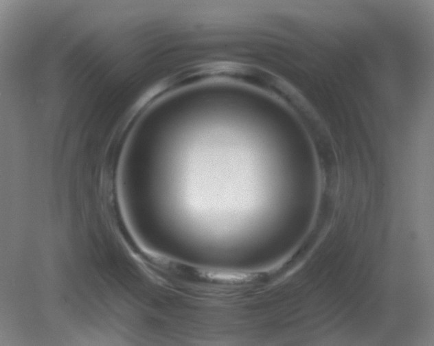 X0000082941321200702011255