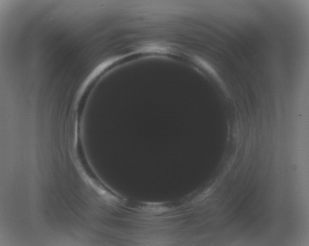 X0000082941323200702011255