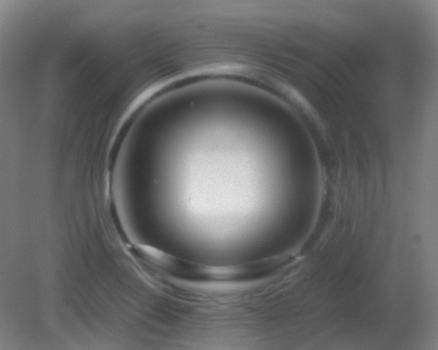 X0000082941324200702011255