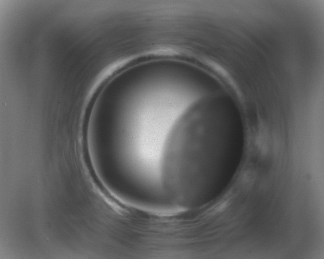 X0000082941327200702011255