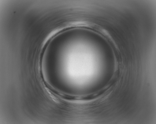 X0000082941328200702011256