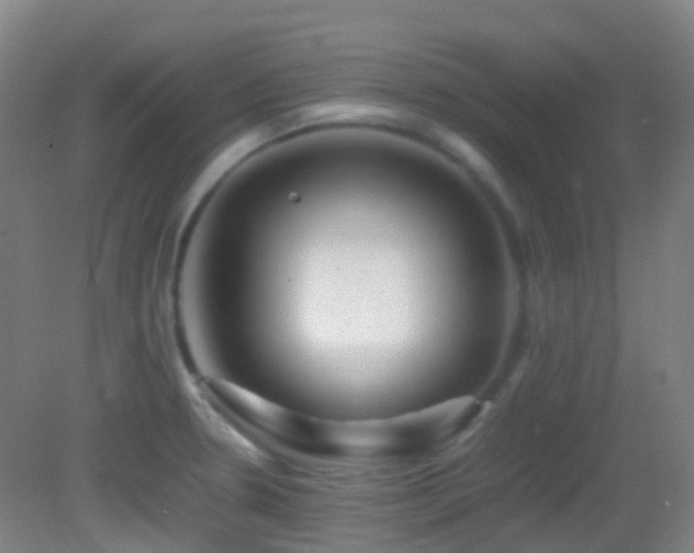 X0000082941330200702011256