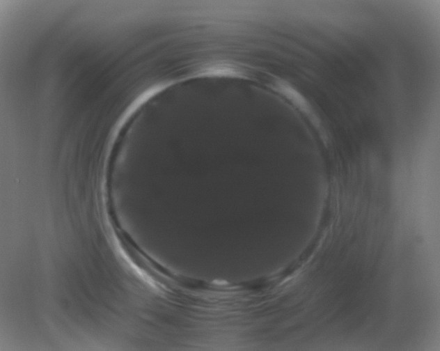 X0000082941331200702011256