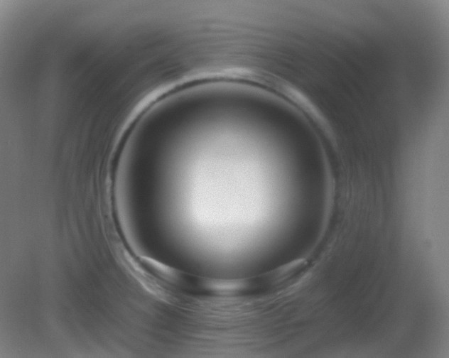 X0000082941332200702011256