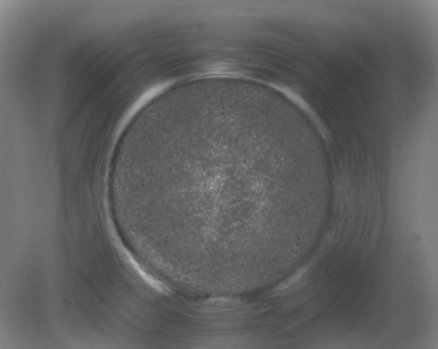 X0000082941333200702011256