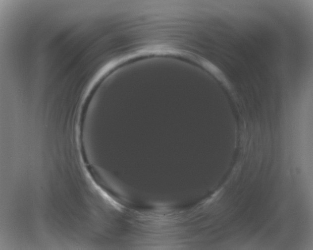 X0000082941334200702011256