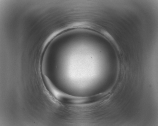 X0000082941336200702011256