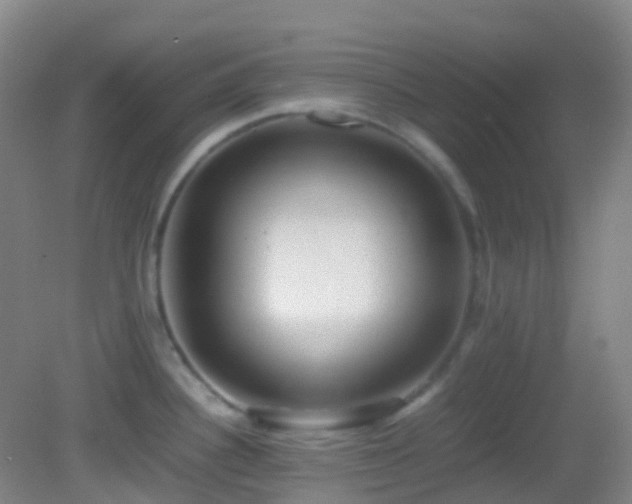 X0000082941340200702011256