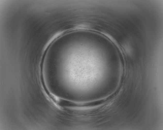 X0000082941341200702011256