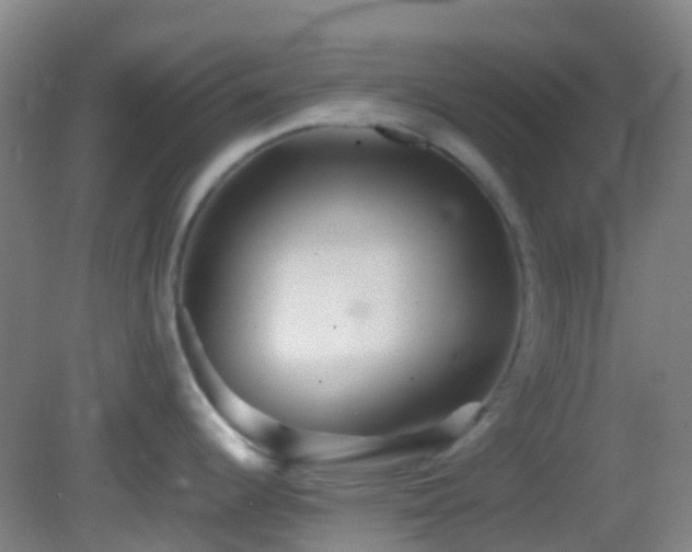 X0000082941344200702011256