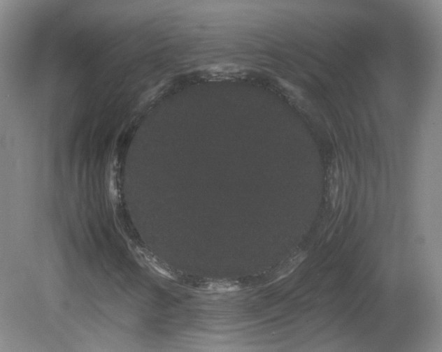 X0000082941346200702011255