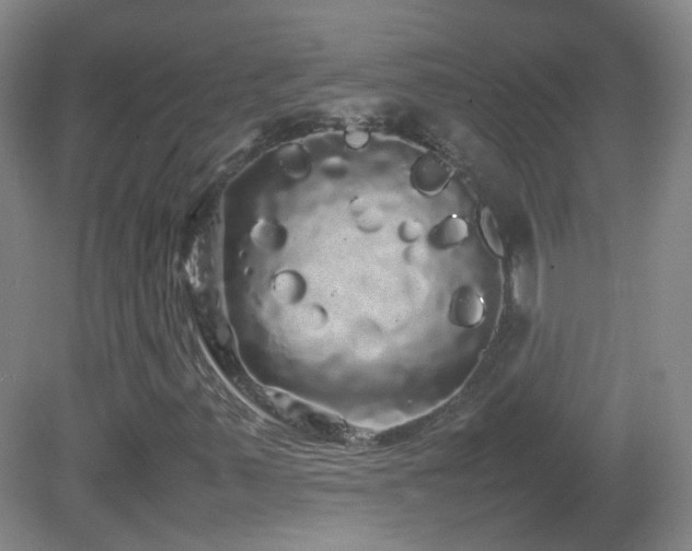 X0000082941347200702011255