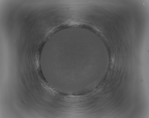 X0000082941348200702011255