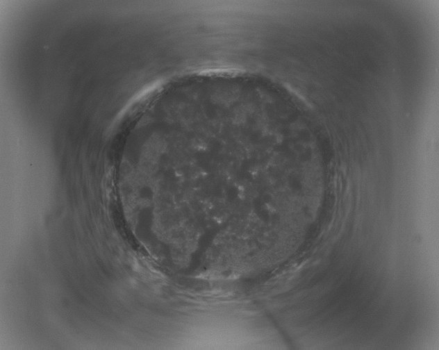 X0000082941351200702011255