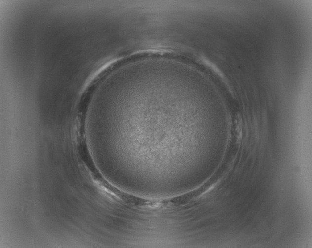 X0000082941352200702011255