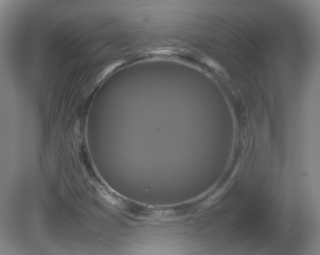 X0000082941353200702011255