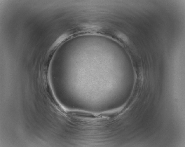 X0000082941354200702011255