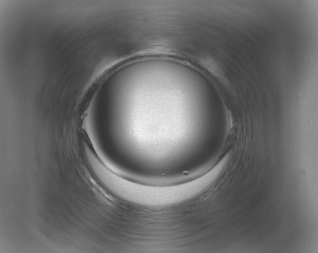 X0000082941356200702011255
