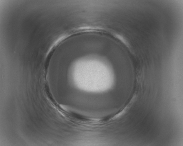 X0000082941357200702011255