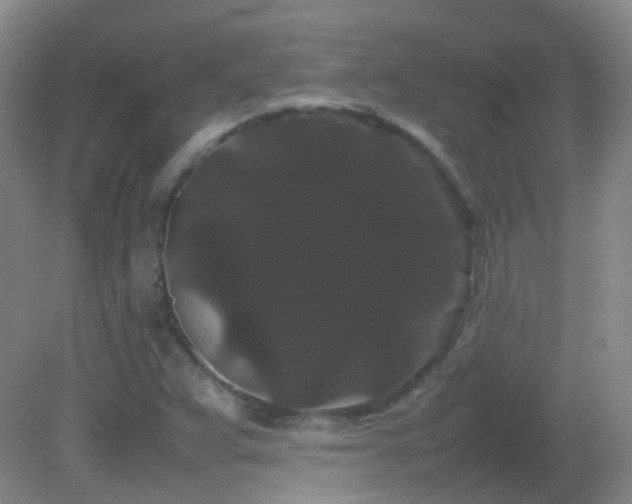 X0000082941359200702011255