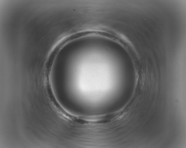 X0000082941360200702011255
