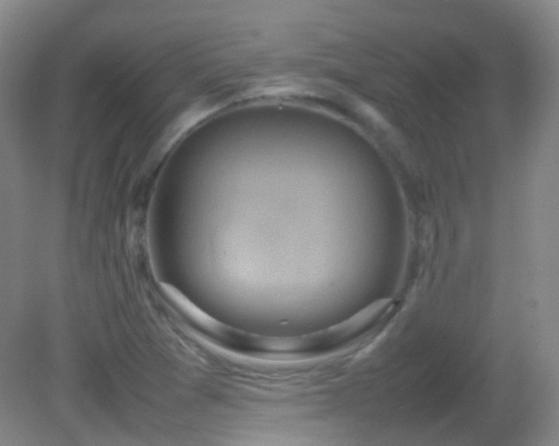 X0000082941361200702011255