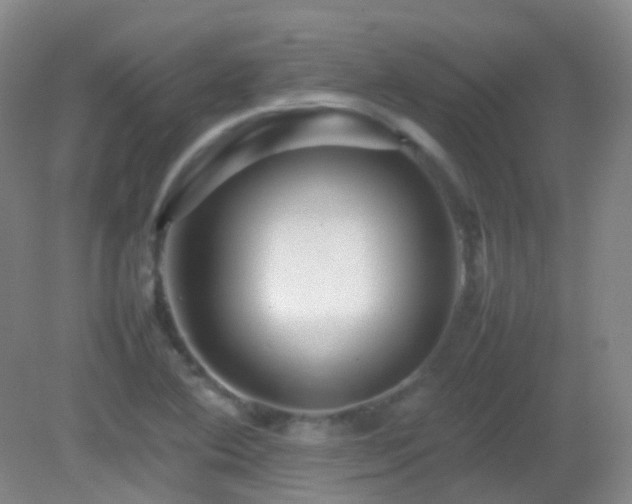 X0000082941364200702011255