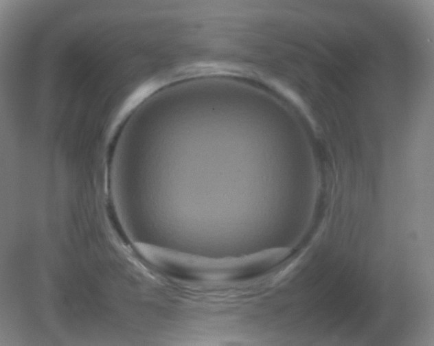 X0000082941365200702011255