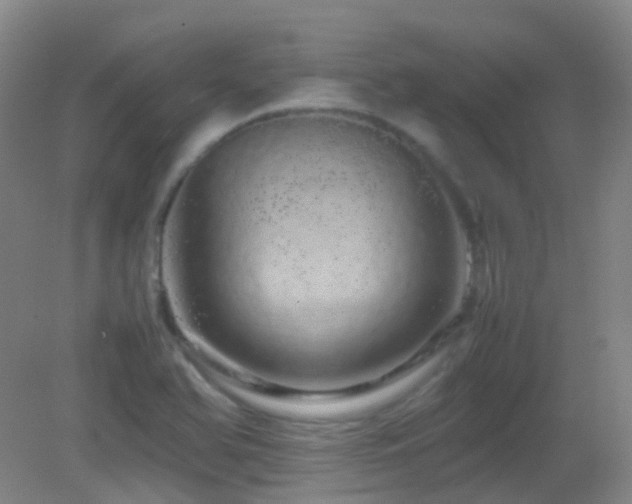 X0000082941366200702011255