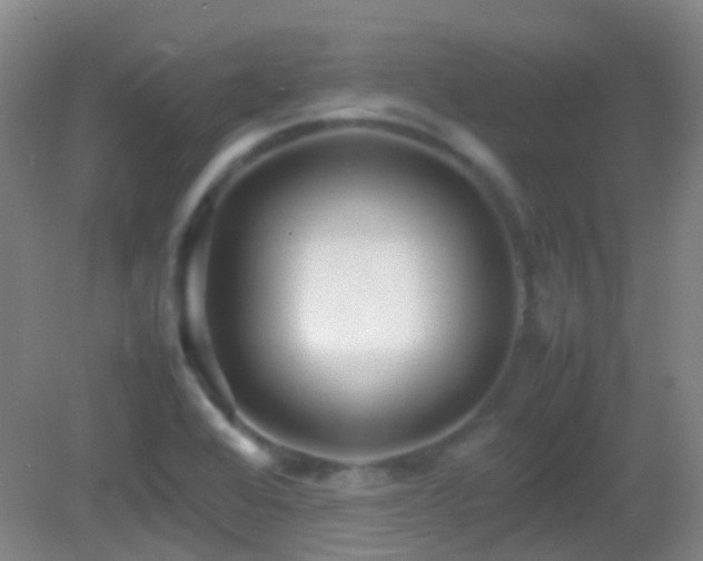 X0000082941368200702011255