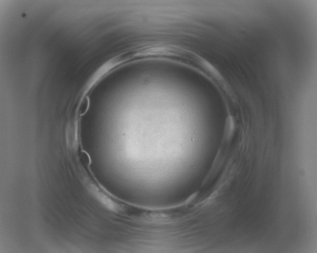 X0000082941370200702011255