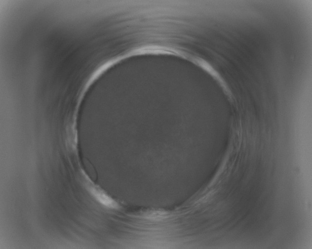 X0000082941372200702011255