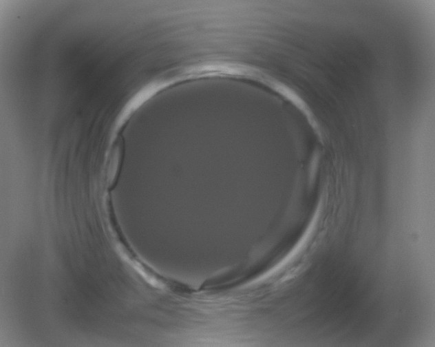 X0000082941373200702011254