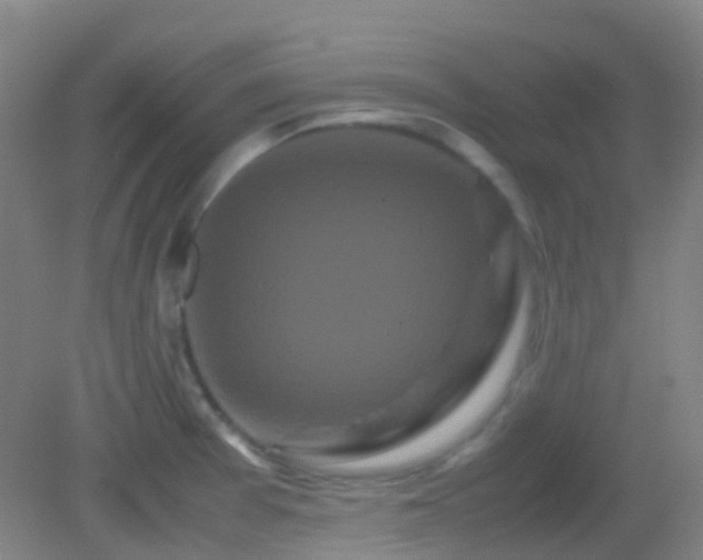 X0000082941377200702011254