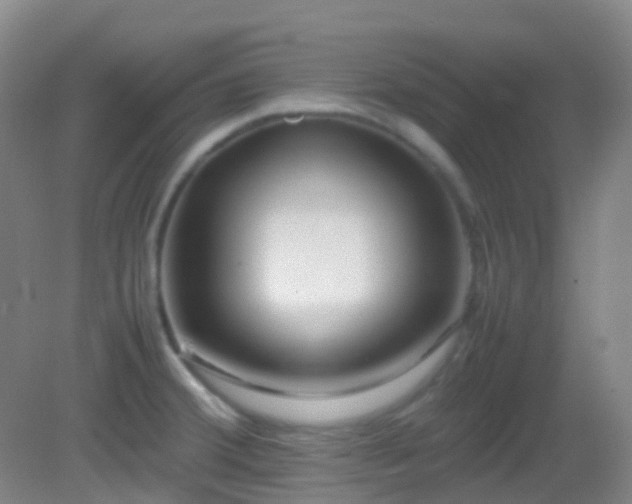 X0000082941380200702011254
