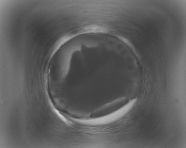 X0000082941383200702011254