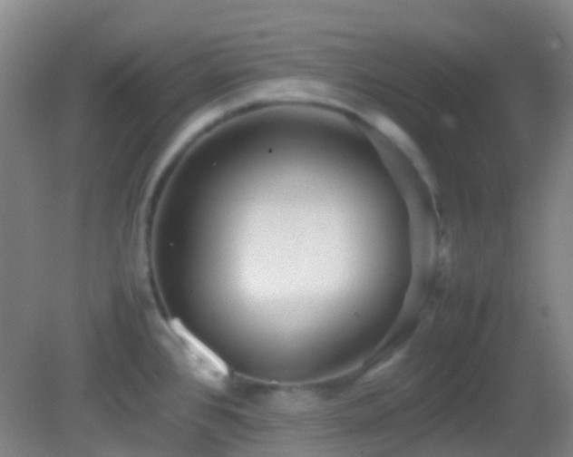 X0000082941384200702011254