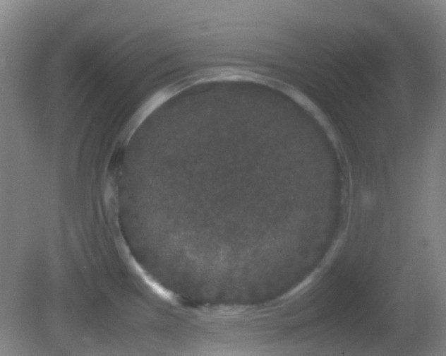 X0000082941385200702011254