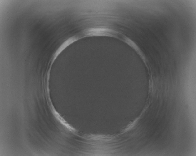 X0000082941386200702011254