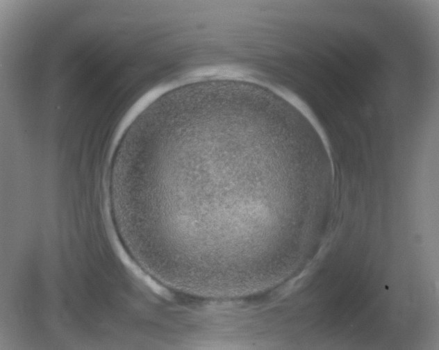 X0000082941389200702011254