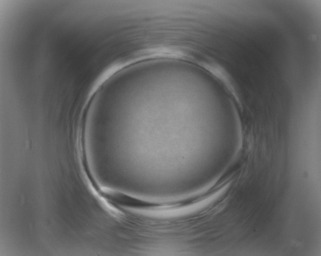 X0000082941391200702011254