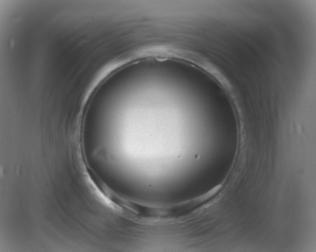 X0000082941392200702011254