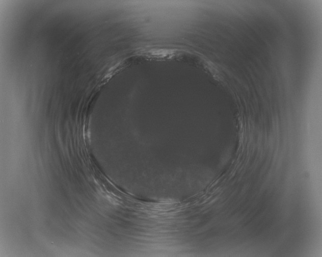 X0000082941394200702011253