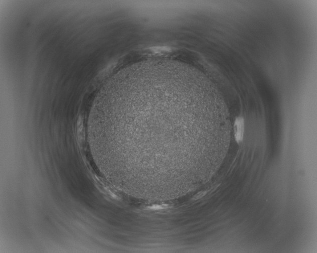 X0000082941395200702011253