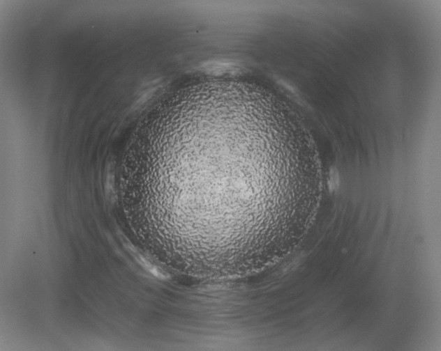 X0000082941396200702011253