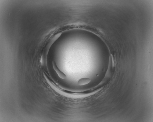 X0000082941398200702011253